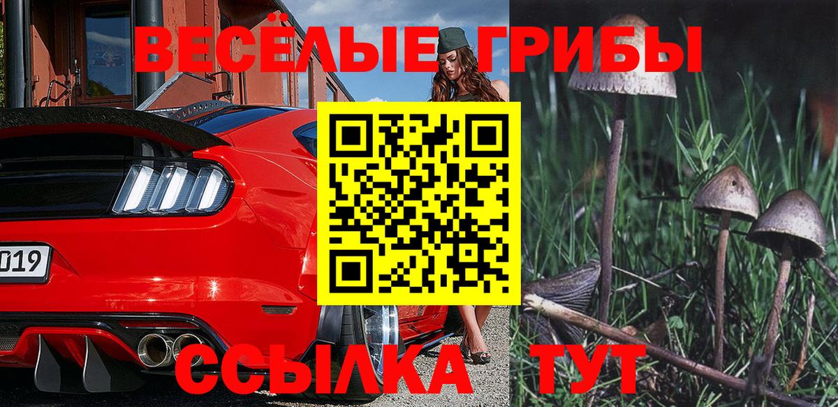 Псилоцибиновые грибы ЛСД  Вход с VPN  дарнет шоп  Сокол 