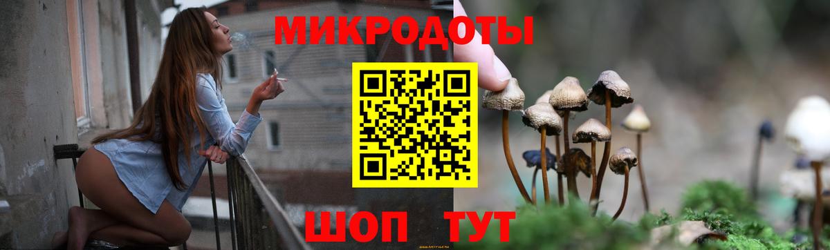 Псилоцибиновые грибы ЛСД Сокол